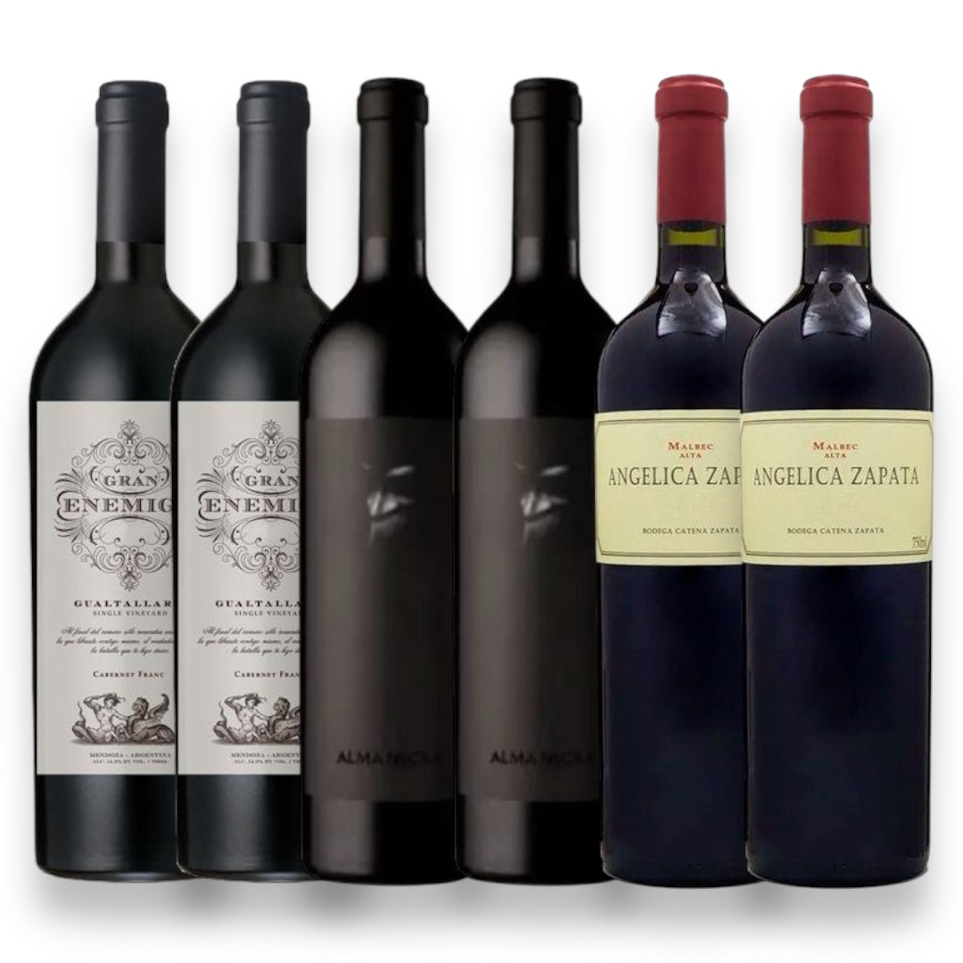 Kit 6 Vinhos Argentino El Enemigo Alma Negra Angélica Zapata